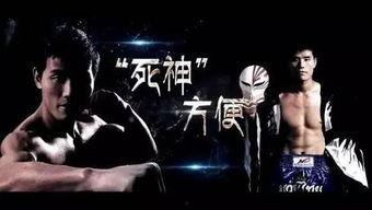 独家爆料重生,重生背后的惊人真相