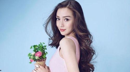 明星资讯号是什么 上位by萝卜兔子简介,萝卜兔子如何引领潮流